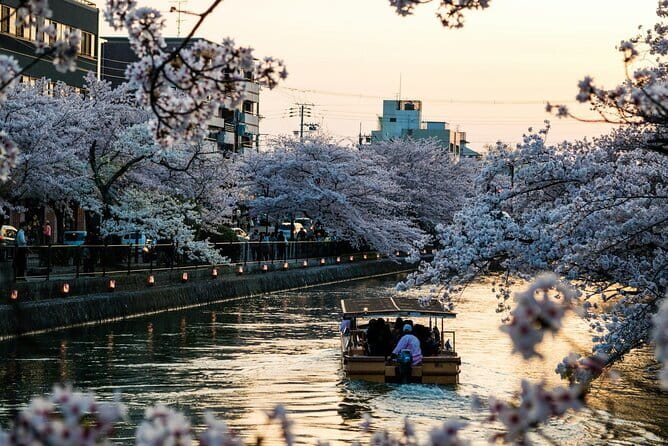 Tokyo City Adventures Private English Tour With Hotel Pickup - Key points at a glance