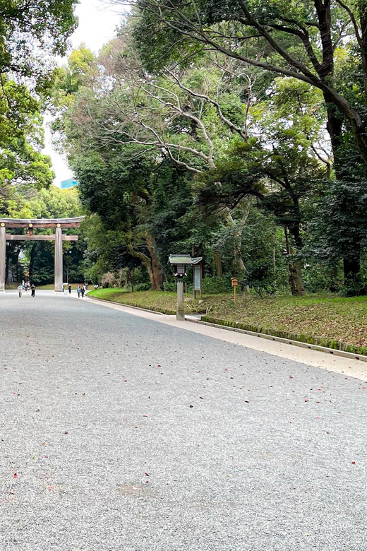 Tokyo: City Tour B - Who will enjoy this route most