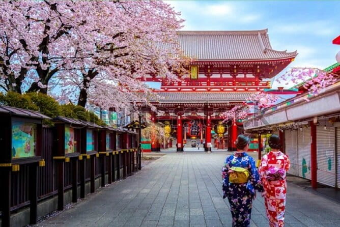 Tokyo City Tour by Private Car & English guide - A smart way to see far-flung Tokyo sights