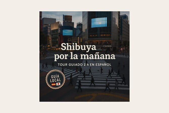 Tokyo City Tour by Private Car & English guide - Odaiba: Tokyo Bay and modern city design