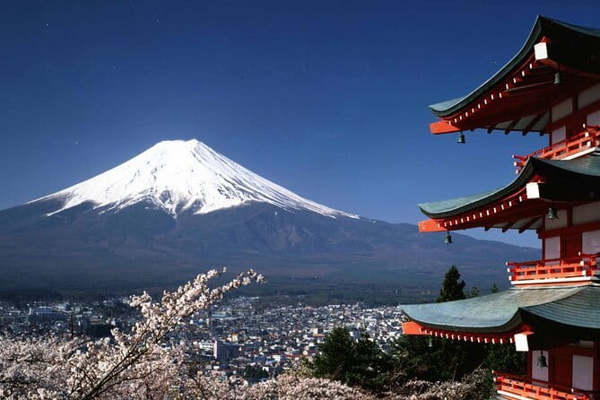 Tokyo City Tour by Private Car & English guide - Optional Imperial Palace gardens or Tokyo Tower