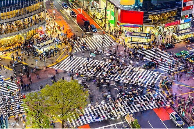 Tokyo City Tour by Private Car & English guide - Why the private car matters