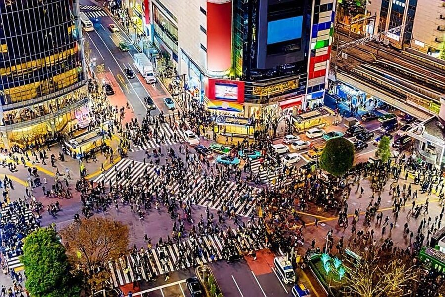 Tokyo: City Tour Tokyo With Driver - Meiji Shrine and Harajuku show two sides of modern Tokyo
