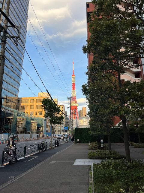 tokyo city walk tour visit Tokyo in one day - Akihabara, anime, and family-friendly choices