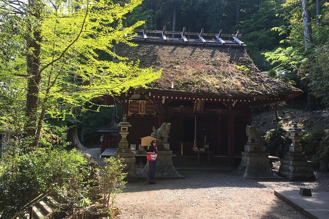 Tokyo Countryside Exploration Private Tour - What the guide adds to the day