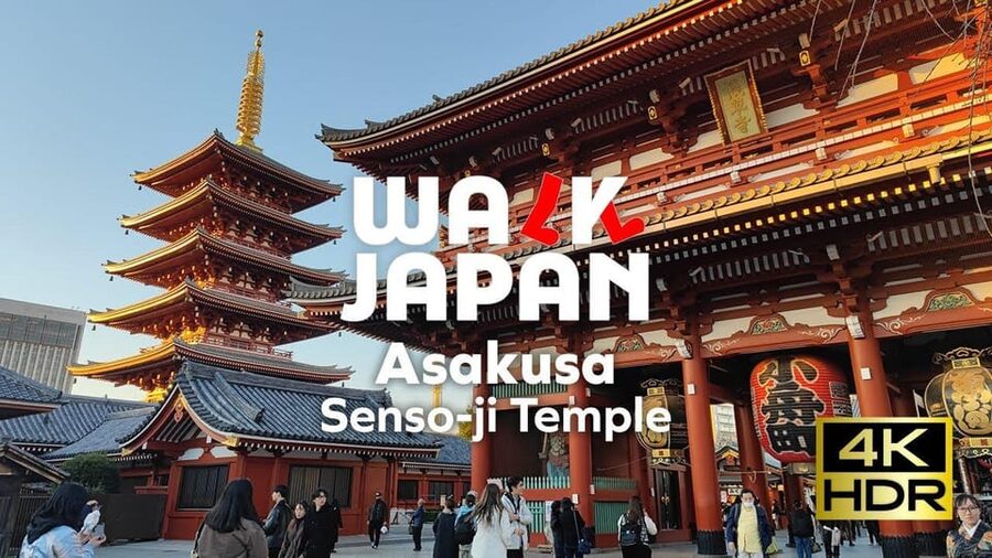 Tokyo: Customizable Day Trip Within Tokyo & English-Driver - Key points to know