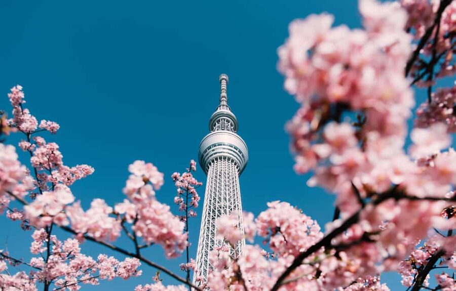 Tokyo: Customizable Day Trip Within Tokyo & English-Driver - How the guides shape the day