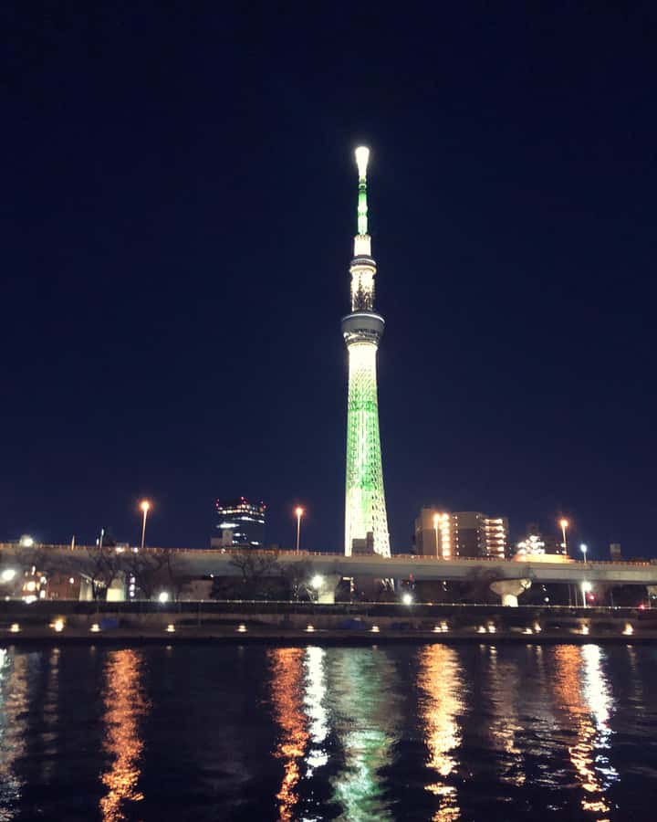 Tokyo: Customizable Day Trip Within Tokyo & Its Attractions - Key points to know before booking
