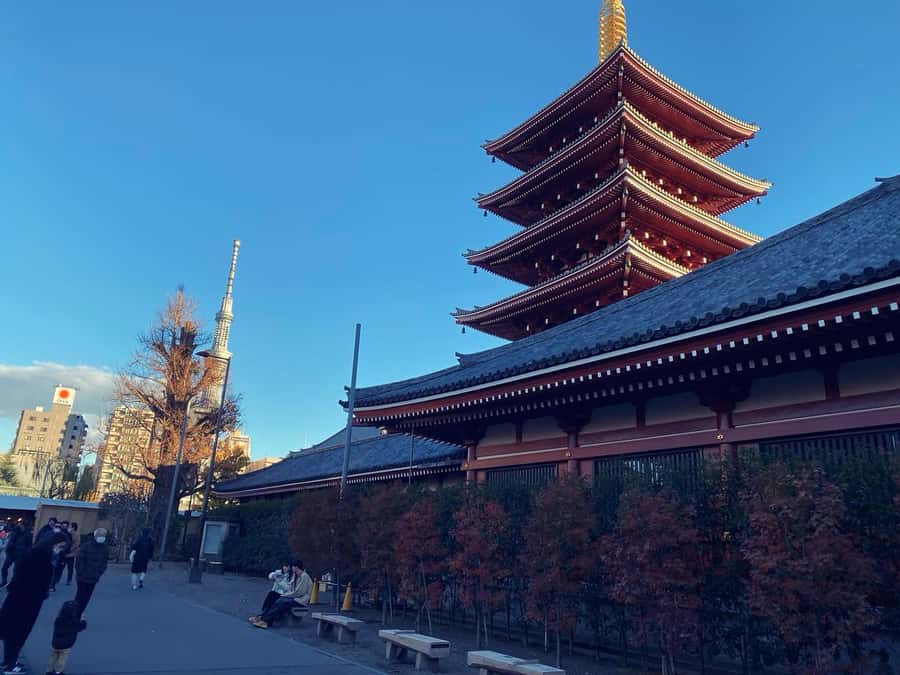 Tokyo: Customizable Day Trip Within Tokyo & Its Attractions - A private way to handle Tokyo’s wide spread