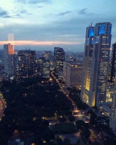 Customizable Day Trip Within Tokyo & Its Attractions