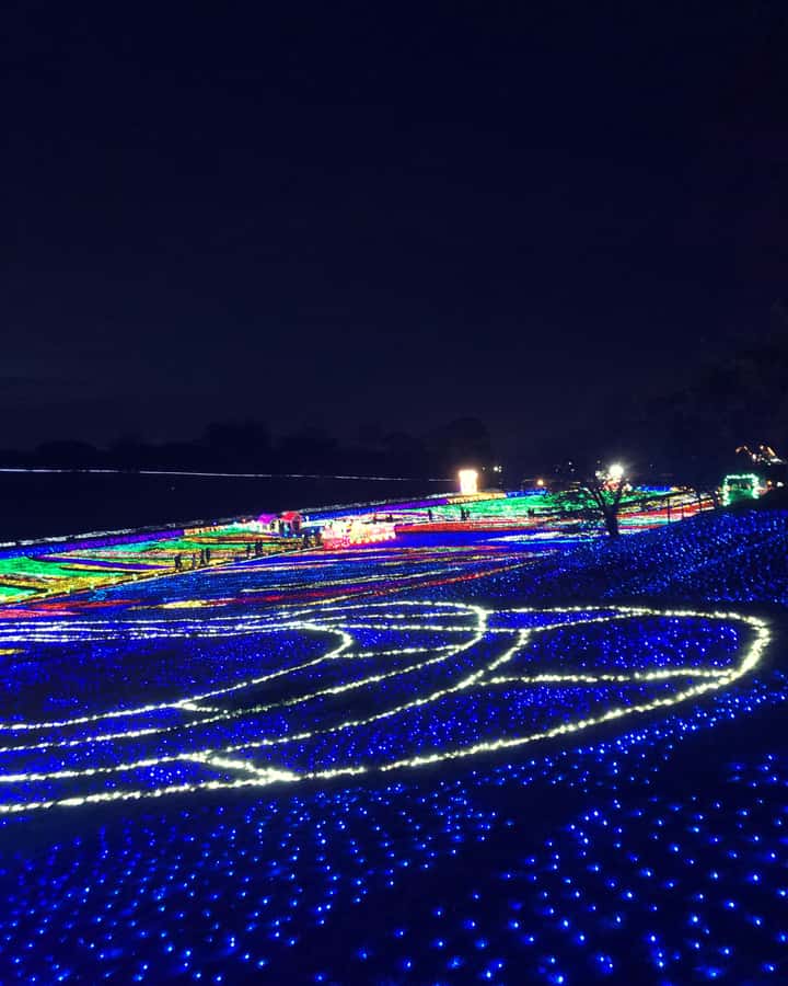 Tokyo: Customizable Day Trip Within Tokyo & Its Attractions - Skytree and Odaiba offer a different side of Tokyo