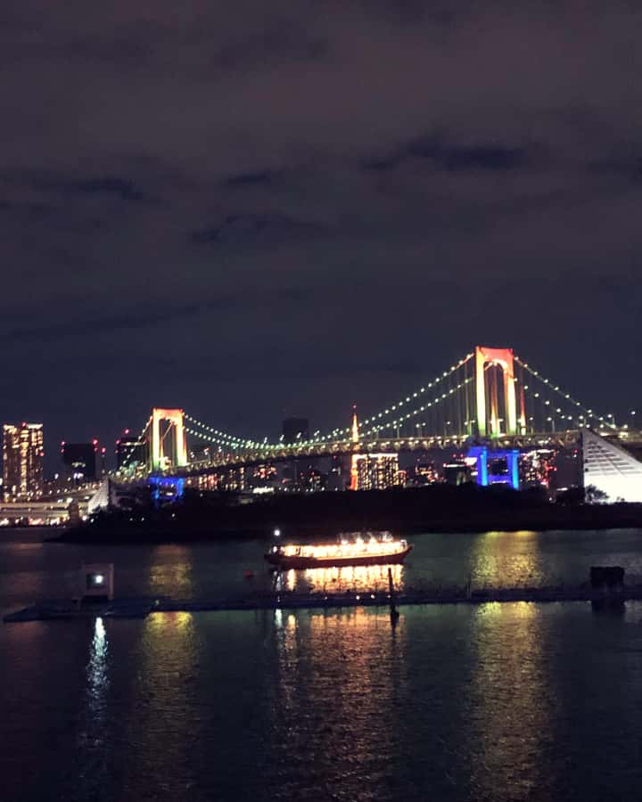 Tokyo: Customizable Day Trip Within Tokyo & Its Attractions - What the driver and owner add