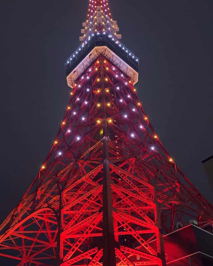 Tokyo: Customizable Day Trip Within Tokyo & Its Attractions - Comfort, timing, and group size