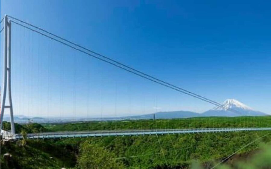 Tokyo:Customizable Private Day Trip to Mt.Fuji & Safari Park - Key points at a glance
