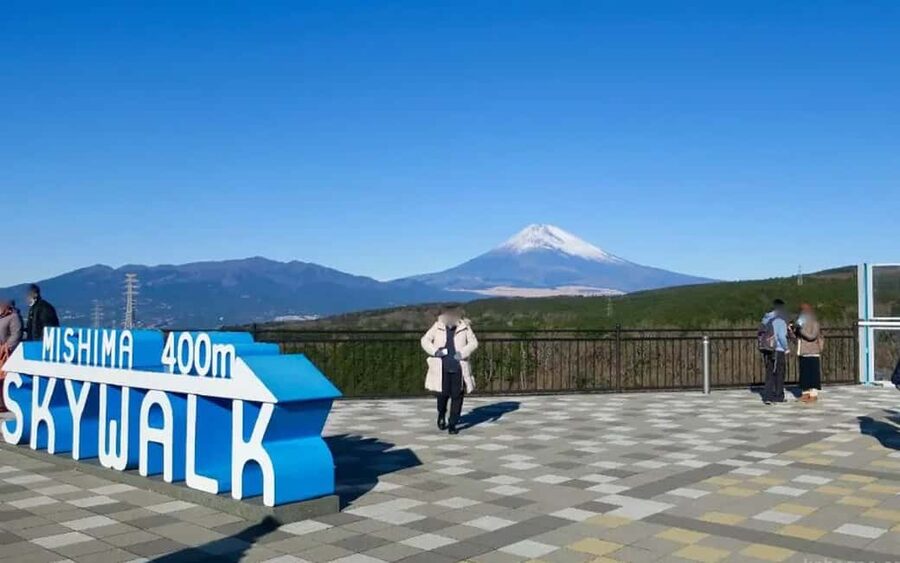 Tokyo:Customizable Private Day Trip to Mt.Fuji & Safari Park - Why this Fuji day trip works better than a fixed tour