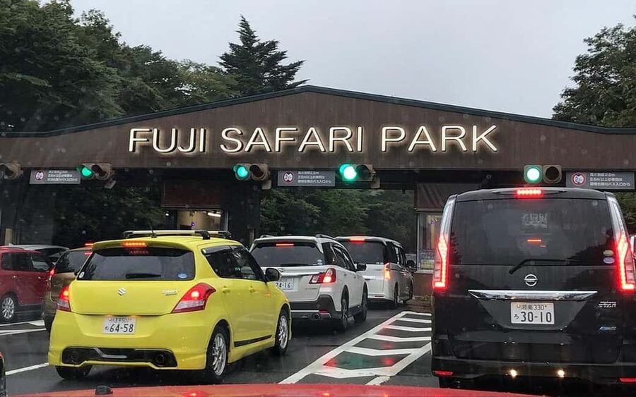 Tokyo:Customizable Private Day Trip to Mt.Fuji & Safari Park - Oshino Hakkai and the cultural side of Fuji