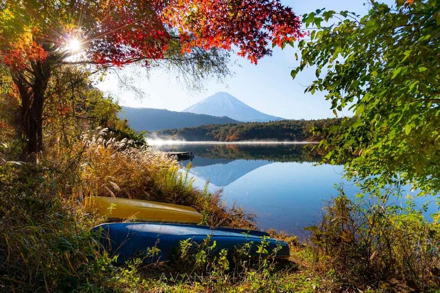 Tokyo:Customizable Private Day Trip to Mt.Fuji & Safari Park - Mt. Fuji 5th Station and the weather question
