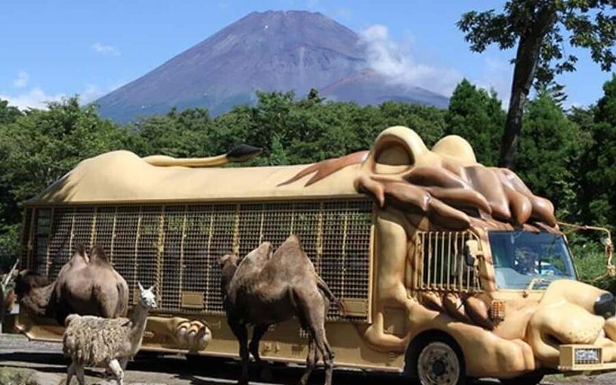 Tokyo:Customizable Private Day Trip to Mt.Fuji & Safari Park - Chureito Pagoda and the classic photograph