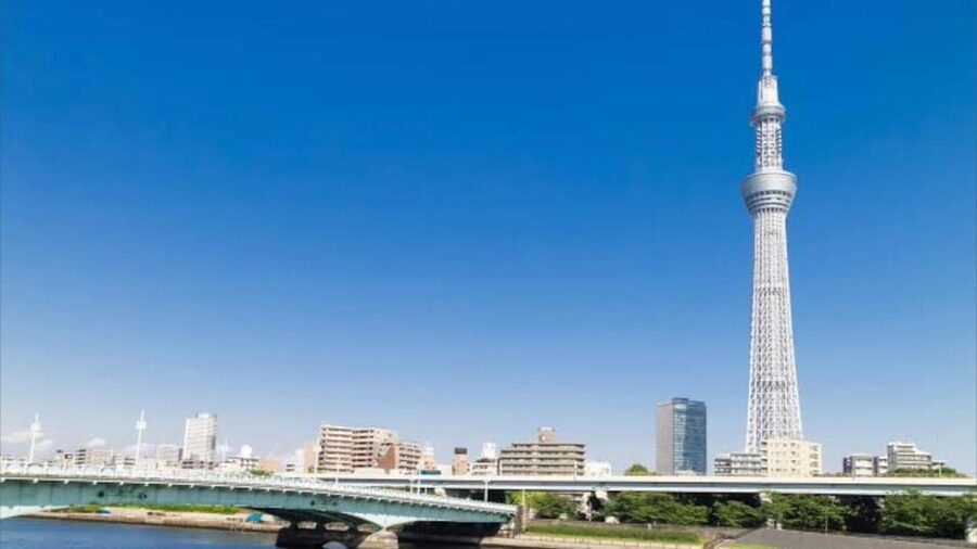 Tokyo: Customizable Private Guided Walking Tour - Pace, comfort, and access