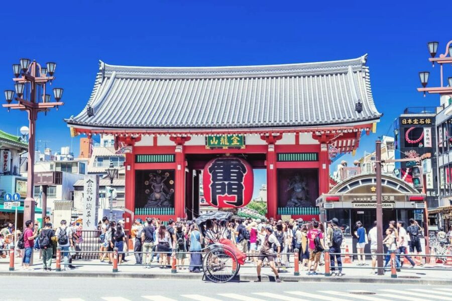 Tokyo: Customizable Private Tour with Hotel Pickup&Dropoff - Meiji Shrine: A Quieter Finish