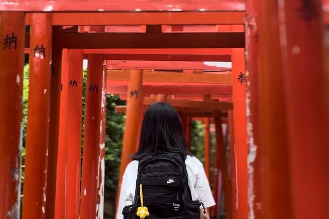 Tokyo Customizable Private Walking Tour with a Local Guide - The value of a private guide
