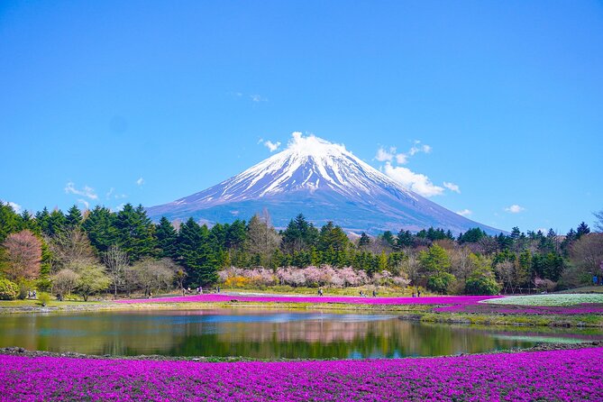 Tokyo: Customized Mt. Fuji & Hakone Sightseeing Private Day Trip - A Private Route Through Mount Fuji Country