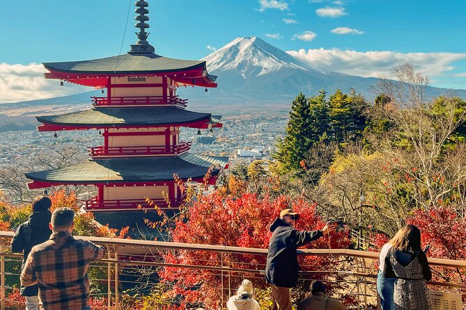 Tokyo: Customized Mt. Fuji & Hakone Sightseeing Private Day Trip - The Fuji Panoramic Ropeway