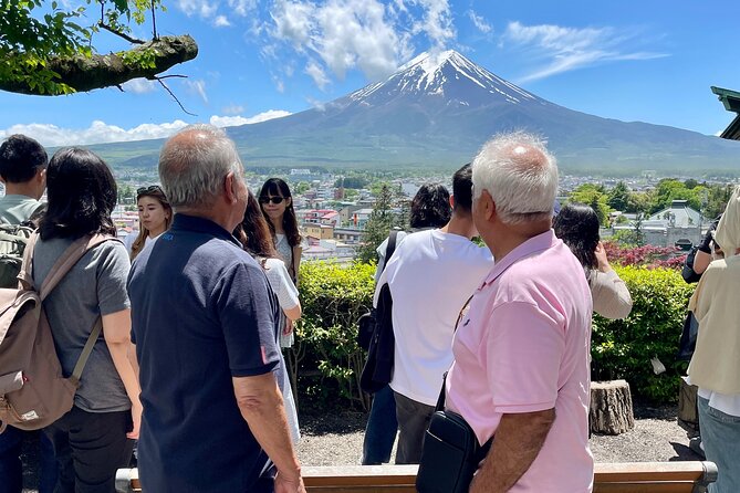 Tokyo: Customized Mt. Fuji & Hakone Sightseeing Private Day Trip - Who Will Get the Most From This Day