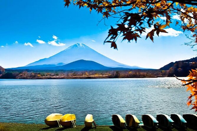 Tokyo: Customized Mt. Fuji & Hakone Sightseeing Private Day Trip - Oshino Hakkai and Old-Style Village Scenery