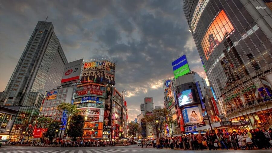 Tokyo: Customized Private Tour with a Local Guide - A Tokyo tour that starts with your interests