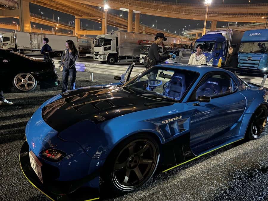 Tokyo: Daikoku JDM Car Culture Tour - Who will enjoy this tour most