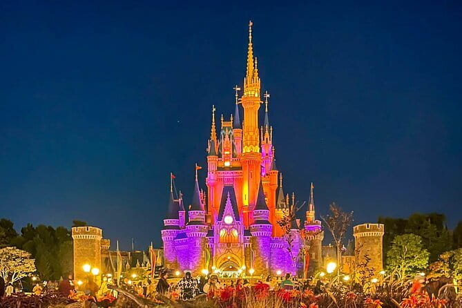 Tokyo Disney Resort Park E-Tickets with Options - Who will enjoy this ticket most