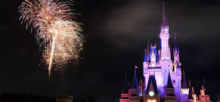 Tokyo Disneyland: 1-Day Entry Ticket and Private Transfer - Booking details that deserve attention