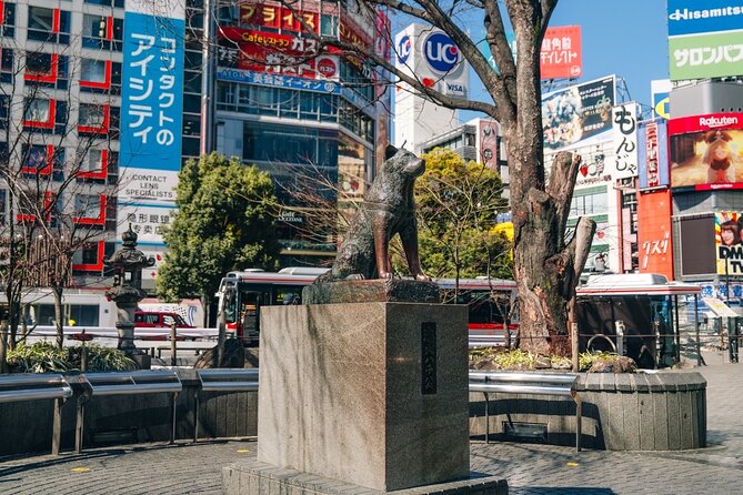 Tokyo Early Morning Tour Asakusa Meiji Shrine (Private Opt) - Who will get the most from this tour