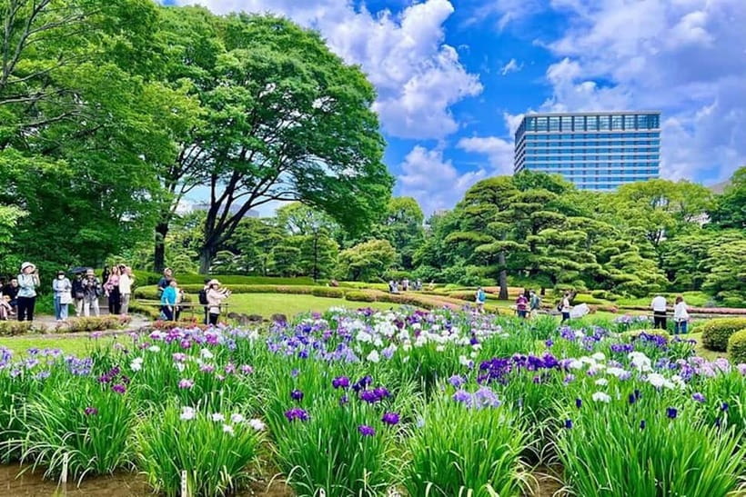 Tokyo: Edo Castle & East Garden of the Imperial Palace Tour - Weather, pace, and practical comfort