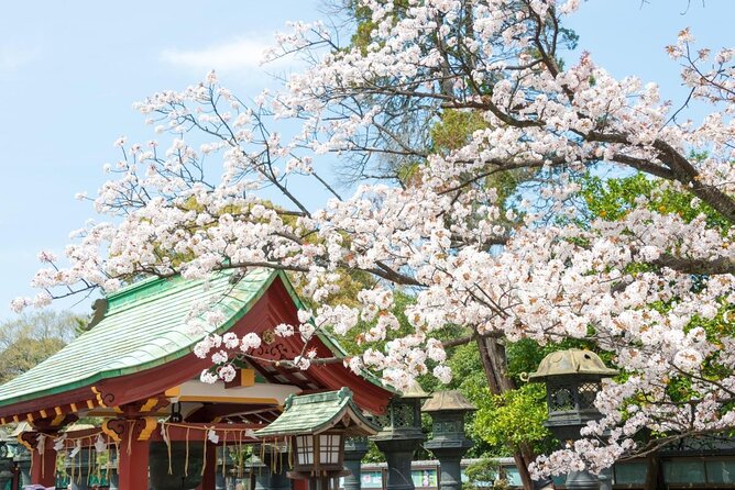 Tokyo: Food Tour in Ueno with 10+ Tastings of Japanese Classics - Ameya-Yokocho and the first taste of everyday Tokyo
