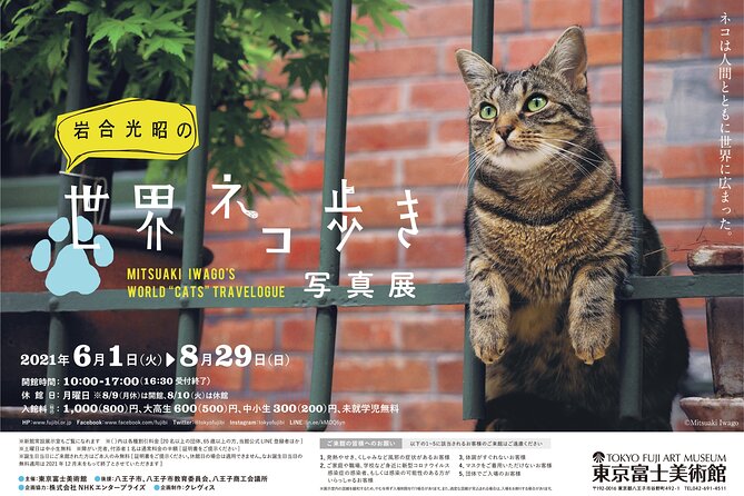 Tokyo Fuji Art Museum Admission Ticket + Special Exhibition (when being held) - The real cost is time as well as money