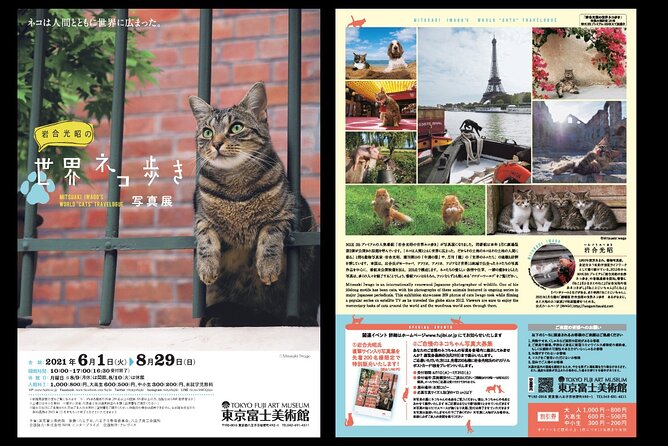 Tokyo Fuji Art Museum Admission Ticket + Special Exhibition (when being held) - Who should book this museum ticket?