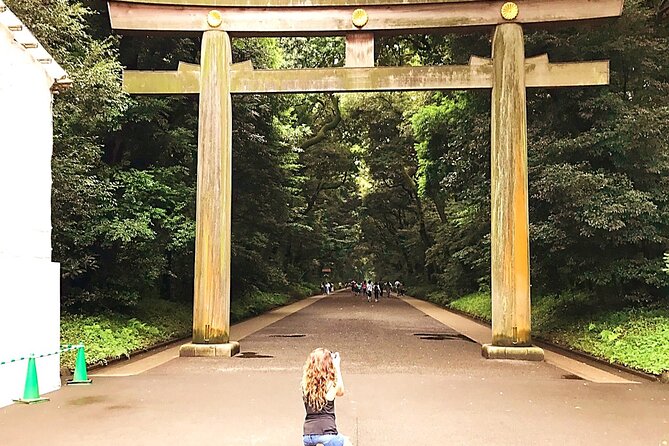 Tokyo Full Course Tour: Explore 10 Must-See Sights & Hidden Gems - Akihabara adds a sharp change of tone
