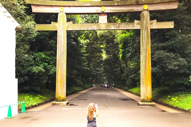 Tokyo Full Course Tour: Explore 15 Must-See Sights & Hidden Gems - Starting among cedar trees at Meiji Jingu