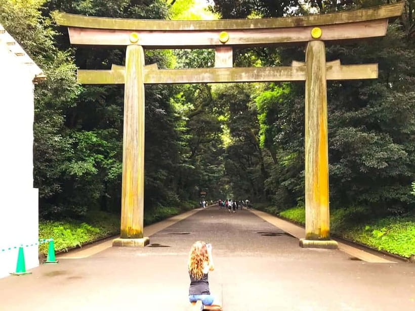 Tokyo: Full Course Tour: Explore 15 Must-Sees & Hidden Gems - Hachiko and Shibuya Crossing