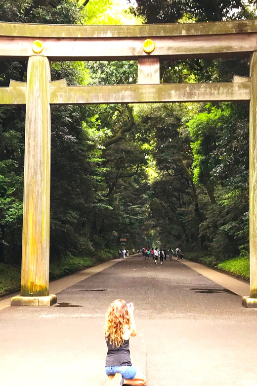 Tokyo: Full Course Tour: Explore 15 Must-Sees & Hidden Gems - Ueno Park and Ameyoko Street