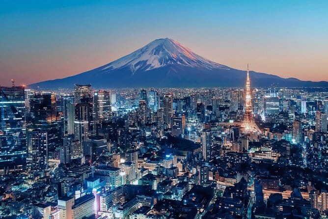 Tokyo Full Day Customize Private Tour with English Guide - Meiji Jingu Shrine inside a 70-hectare forest