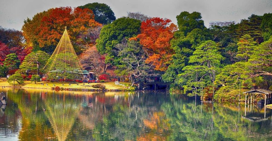 Tokyo: Full-Day Japanese Garden Private Guided Tour - Why Tokyo gardens work best with a private guide