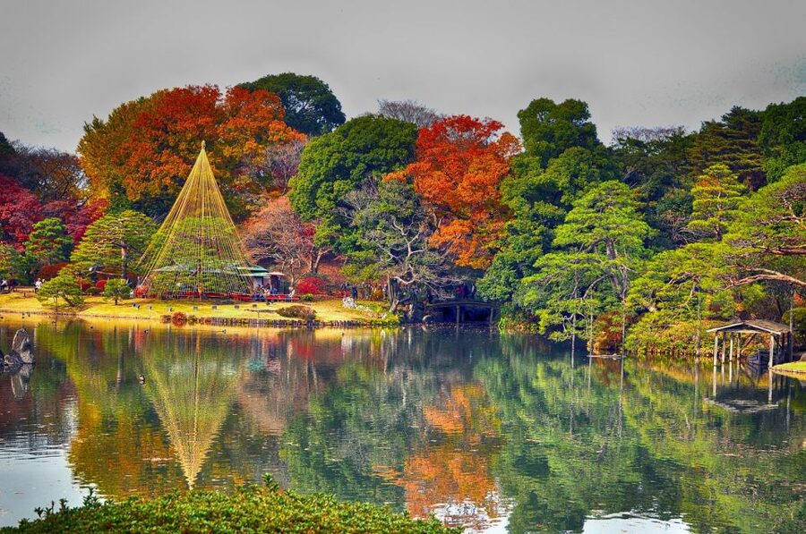 Tokyo: Full-Day Japanese Garden Private Guided Tour - Imperial Palace gardens and the shape of old Tokyo