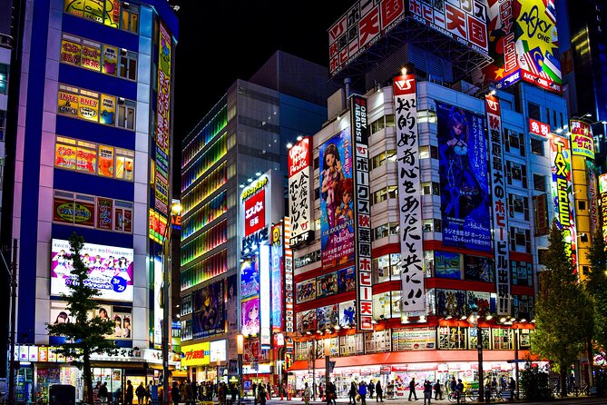 Tokyo Full-Day Private Tour (Customizable) - Tokyo Skytree for the day’s big view