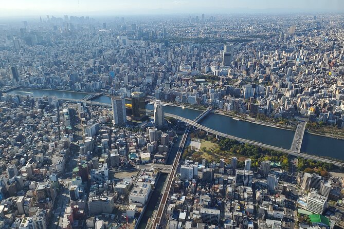 Tokyo Full-Day Private Tour (Customizable) - Takeshita Street and Harajuku style