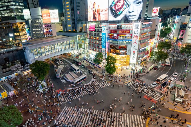 Tokyo Full-Day Private Tour (Customizable) - Is $354 a fair price for up to five?