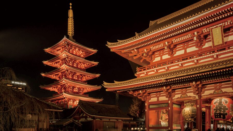 Tokyo full day private tour with Guide - What the $329 price really buys