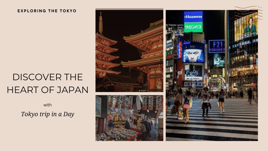 Tokyo full day private tour with Guide - Sensō-ji and Asakusa: Tokyo’s oldest-feeling stop
